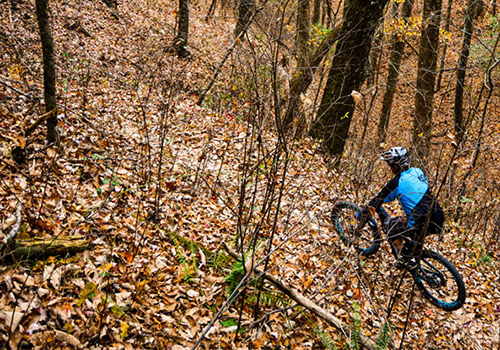 Mountain Biking in Winter on Trails - Graves Mountain Farm & Lodges