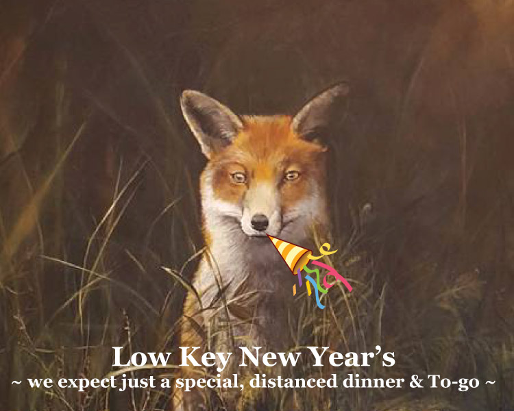 Low key searated New Year's at Graves Mountain Farm & Lodges