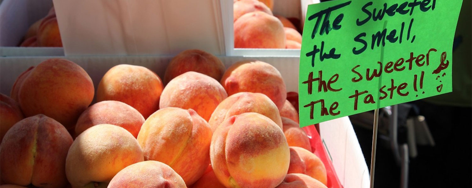 Peach Day - 3rd Sat in July - at Graves Mountain Farm