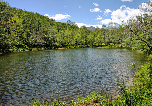Meadows Bass and Catfish Pond at Graves moutain Farm - Fly and spin casting