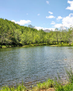 Stocked fishing ponds at Graves Mountain Farm & Lodges