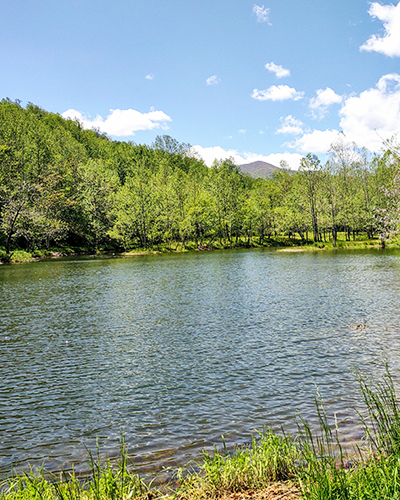 Stocked fishing ponds at Graves Mountain Farm & Lodges