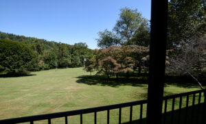 View across meadow and Blue Ridge above