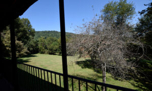 View across meadow and Blue Ridge above