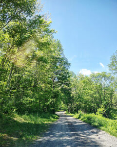 Doubletrack to Poplar Lodge and Gold Trail