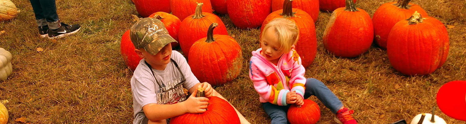 Two young choosers in the Pumpkin Ptch at Graves Mountain Farm
