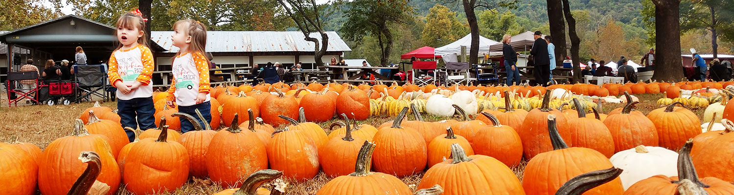 pumpkin_girls_1500x400 pumpkin_girls_1500x400