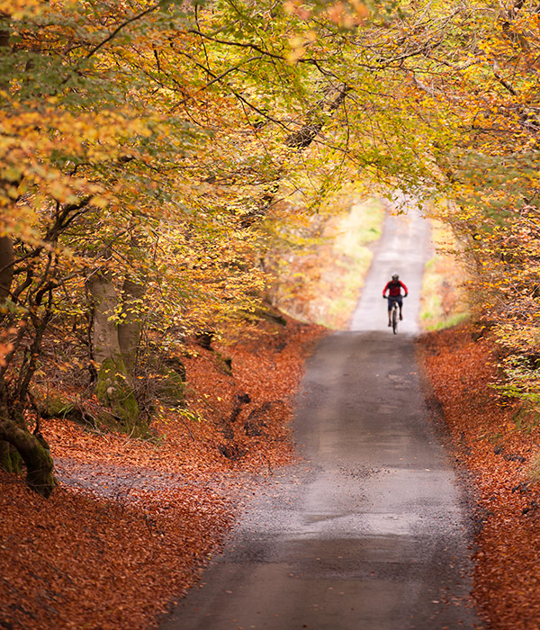 Road Biking on holler byways in the Blue Ridge at Graves Mountain Farm