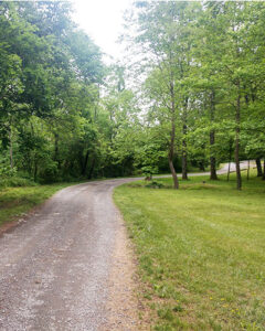 Between Kite House and Redwood - with Meadows Pond circuit coming up on the left