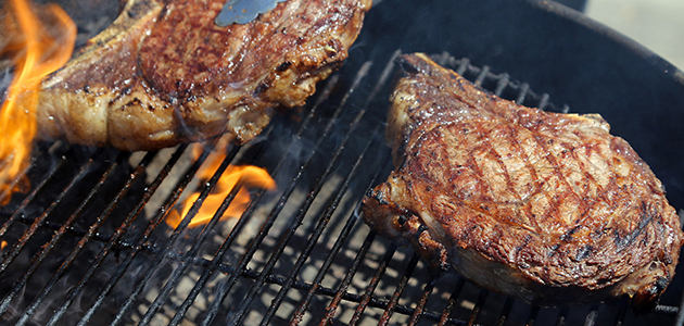 Festival food - all the usuals plus steak, mountain trout, southern fried chicken