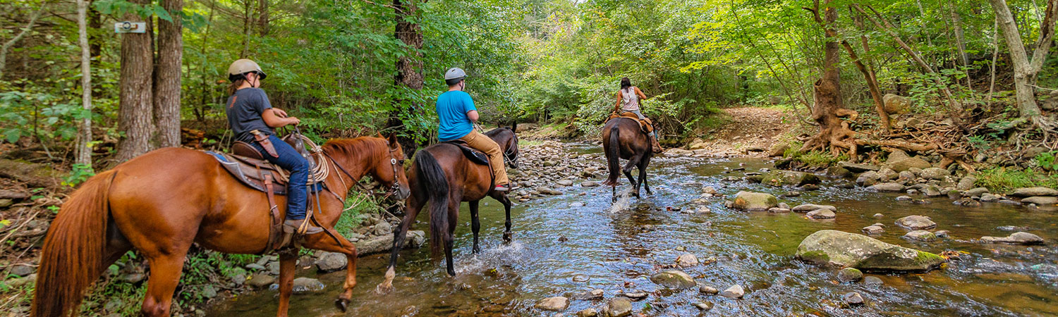 Riding at Graves Mpountain Farm - fording Rose River