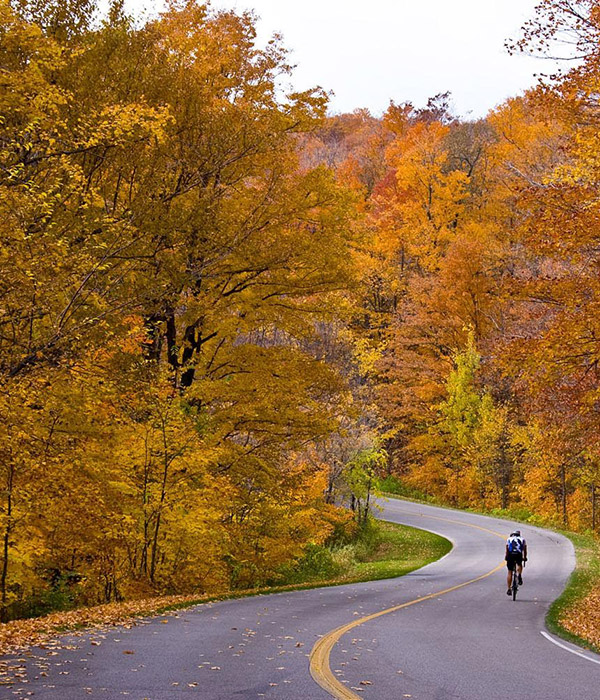 Road Biking through Fall Colors from Graves Mountain Farm & Lodges - VA Blue Ridge