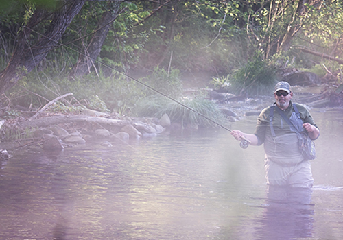 Two Mountain Streams and Three Ponds – Trout Fly Fishing in the VA