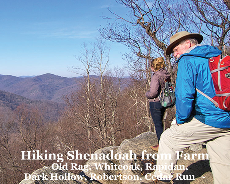 Hiking Shenadoah is easiets from Graves Mountain Farm & Lodges, Syria VA