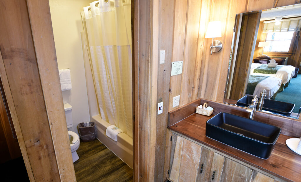 Bath and Vanity Area - Blue Ridge Lodge Room
