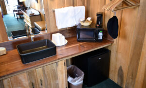 Vanity Area with microwave and fridge - Blue Ridge Lodge Room