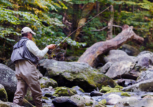 Spring Fly Fishing Clinics at Graves Mountain farm & Lodges - 2 mountain streams