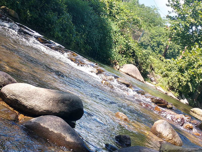 Vacation Cabin Rentals Resort near Shenandoah National Park