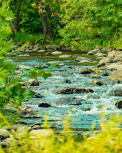 Mountain Trout Stream Fly Fishing at Graves Mountain Farm & Lodges