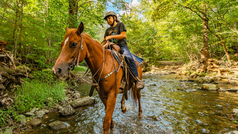 Horse rides at Graves Mountain farm & Lodges in the Blue Ridge