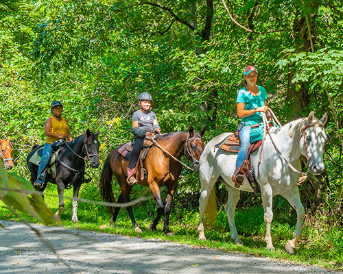 Trail rides atb Graves Mountain Farm & Lodges in the VA Blue Ridge