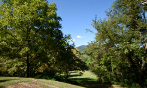 View down Valley