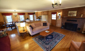 Living Room Area with Fireplace