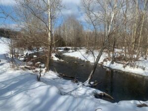 Winter streamside