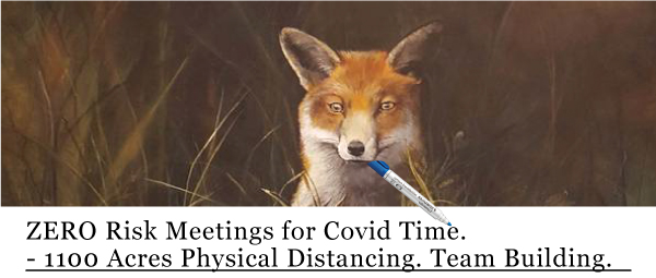 woodsie_covid_05192020 No risk meeting agreements for rural retreats near DC